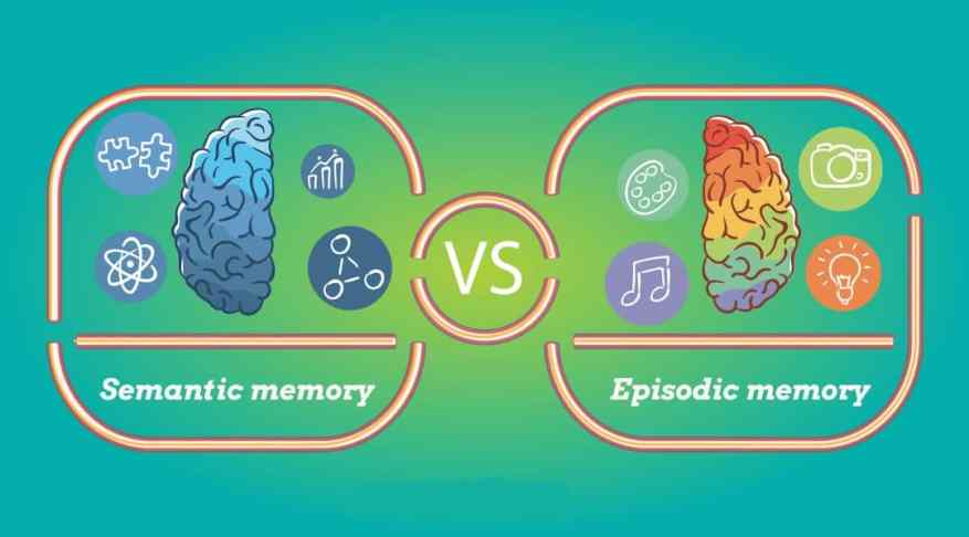 15 Semantic Memory Examples (2023)
